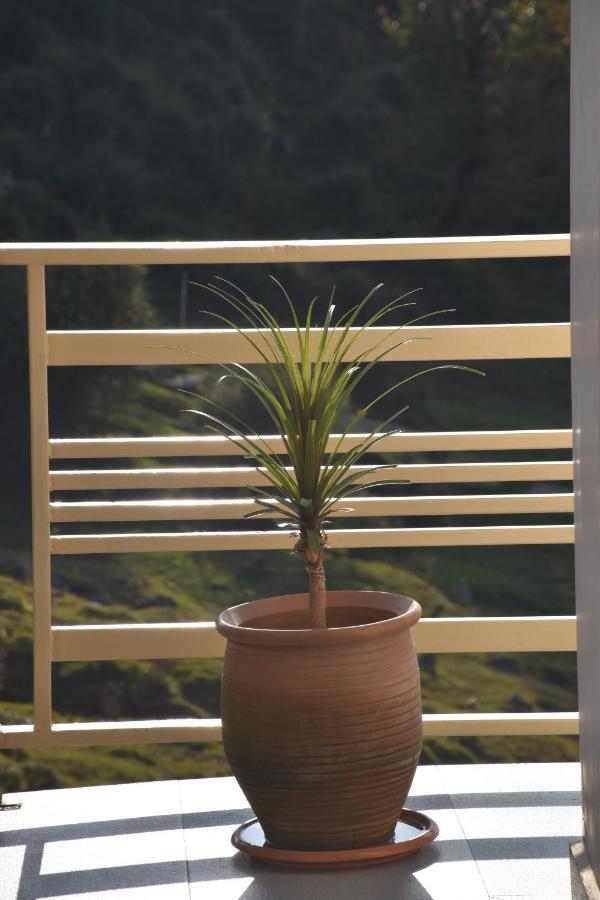 Jot Eco Boutique Stays 达兰萨拉 外观 照片